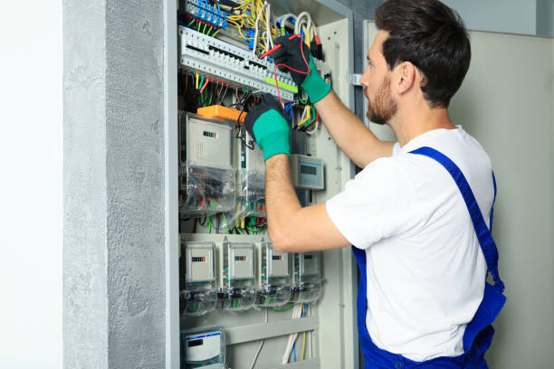 Best Ceiling Fan Installation Electrician  in Port Byron, IL