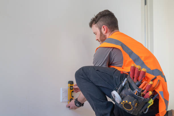 Best Electric Panel Repair  in Port Byron, IL